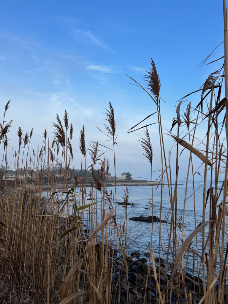Newport Cliff Walk